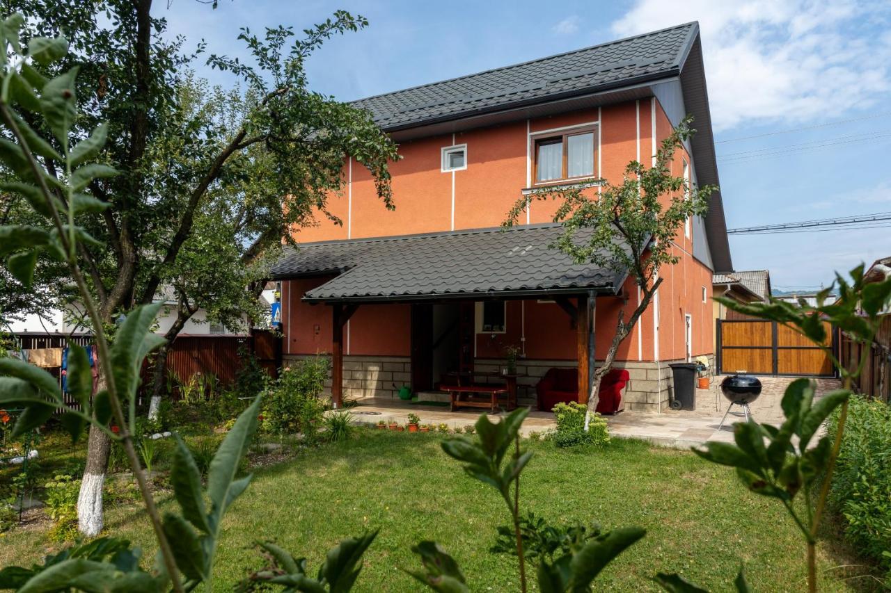 Generous Family Home Viseu de Sus Exterior photo