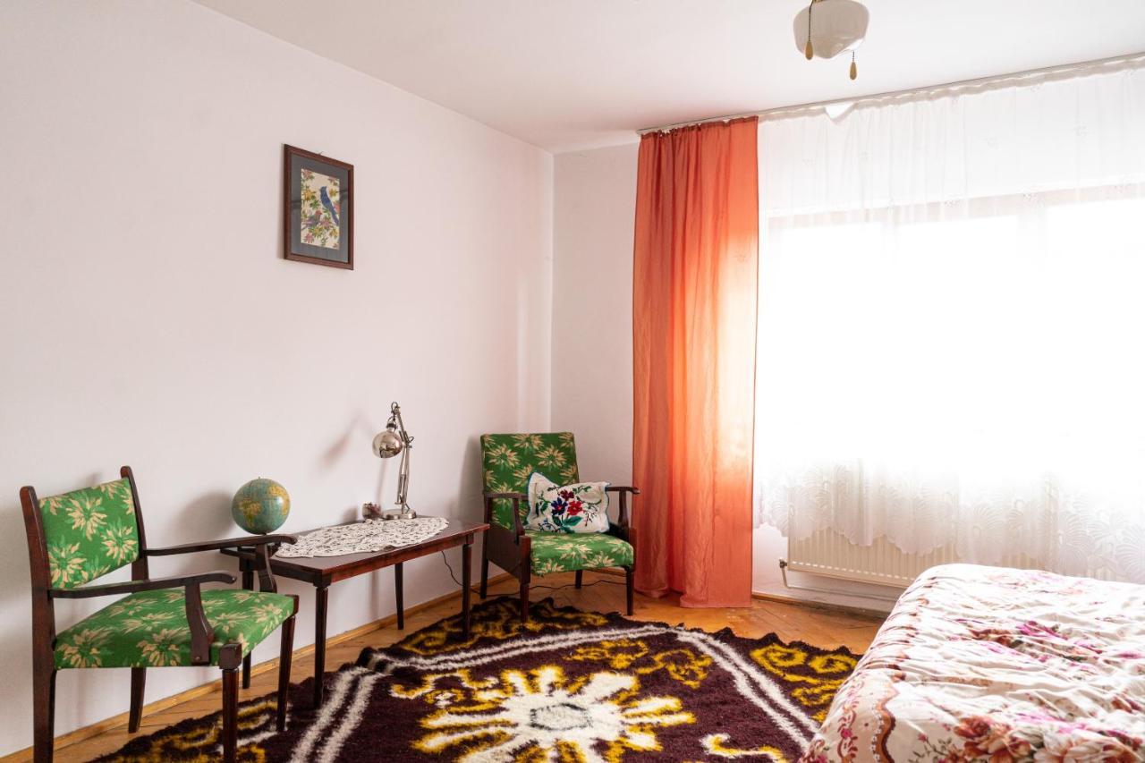 Generous Family Home Viseu de Sus Exterior photo
