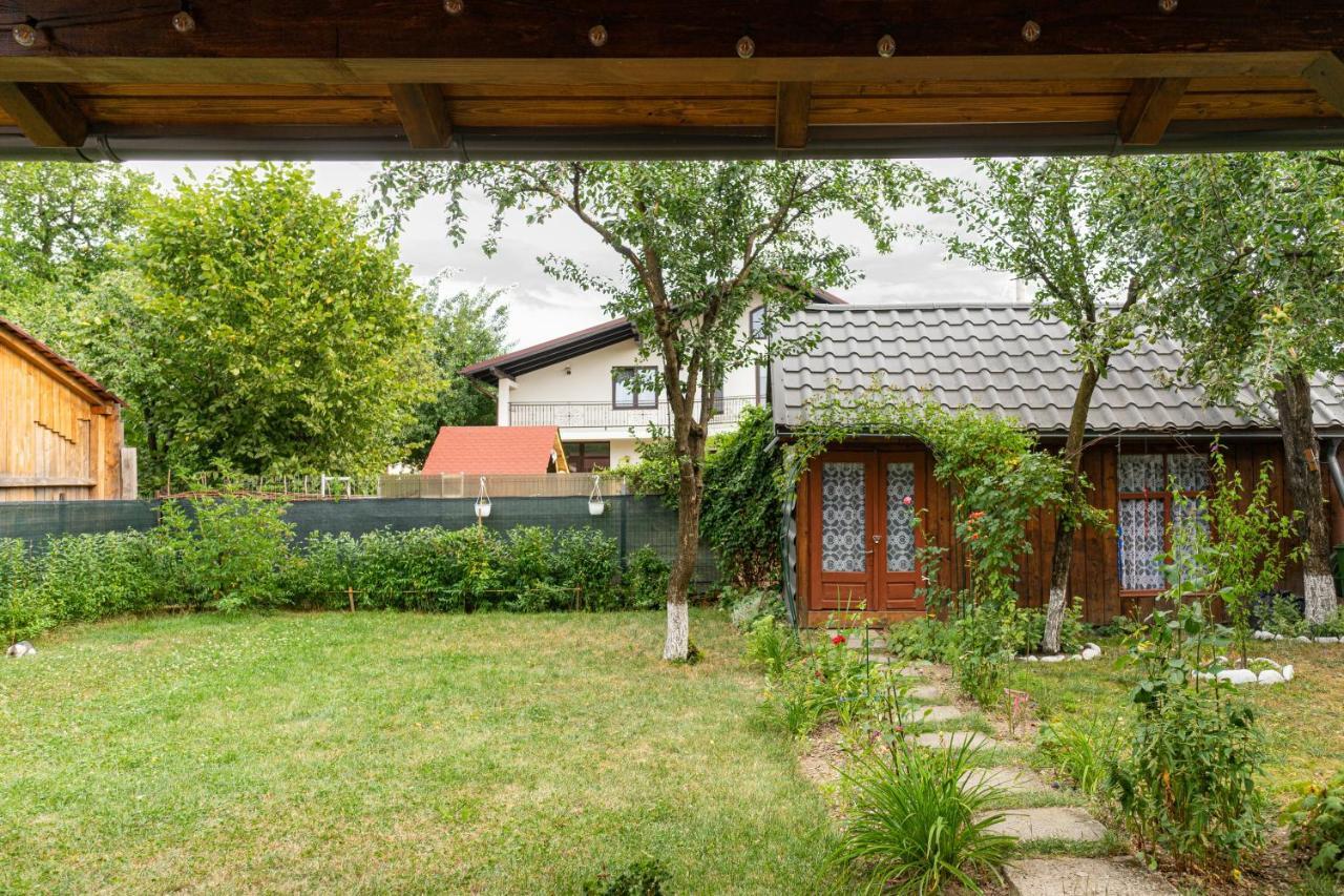 Generous Family Home Viseu de Sus Exterior photo